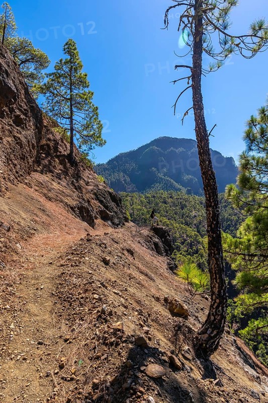 A young man walking on the trek to the top of La Cumbrecita next to the mountains of the Caldera de Taburiente