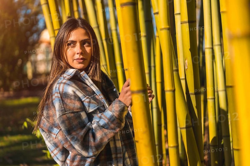 Autumn lifestyle in a bamboo forest
