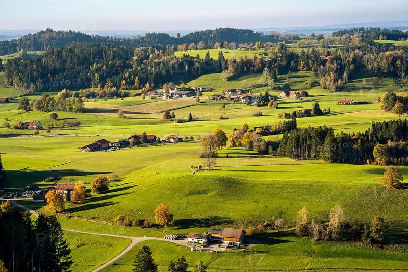 Landscape around Maierhoefen in the Allgaeu in autumn with meadows