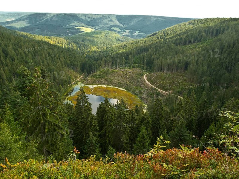 Huzenbachseeblick