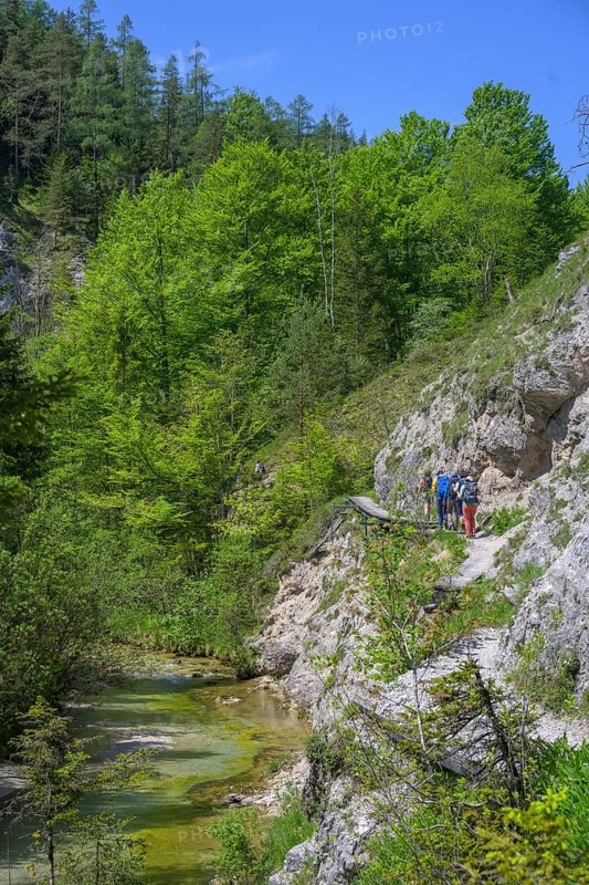 Hiking trail in the Oetschergraben