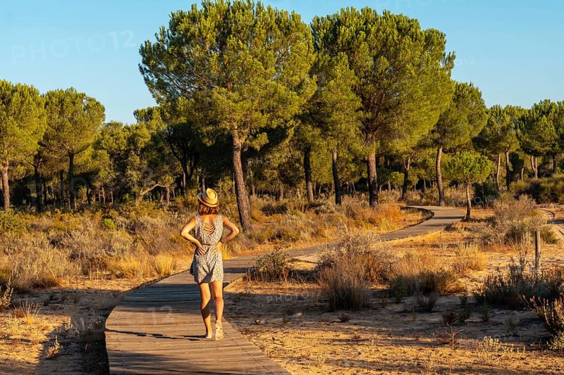 A young woman on the wooden walkway taking a walk inside the Donana Natural Park