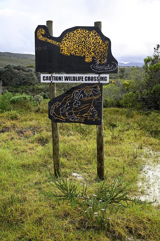 Game sign
