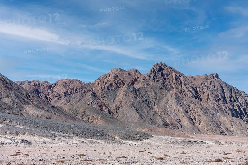 Arabian Desert