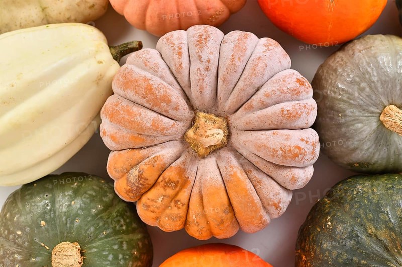 Top view of mature ribbed 'Black Futsu' pumpkin squash with orange skin between pumpkin mix