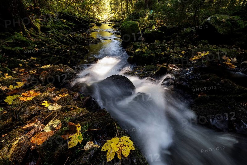 Waterfall in autumn forest with rocks