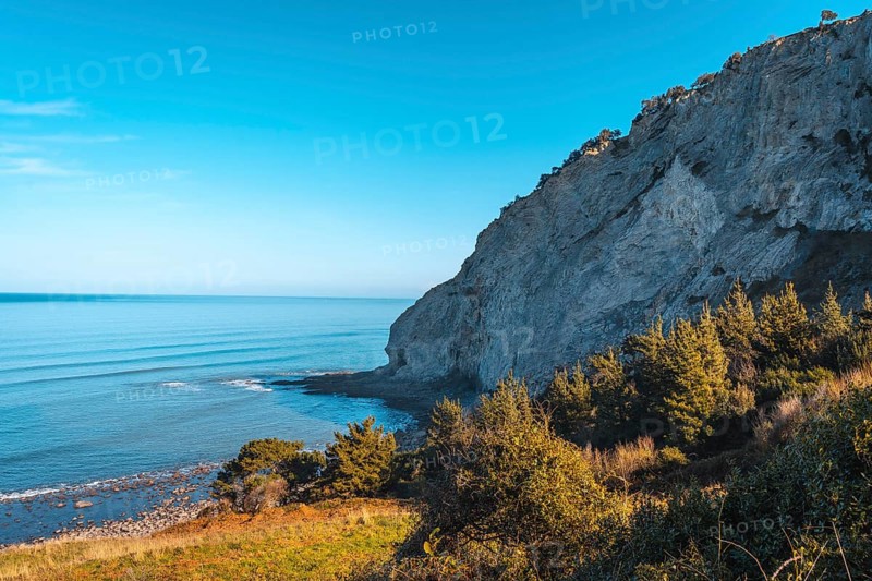 Skull on the stones on the coast from Deba to Zumaia. Basque Country