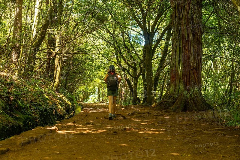 Tourist walking in summer on the Levada do Caldeirao Verde trail