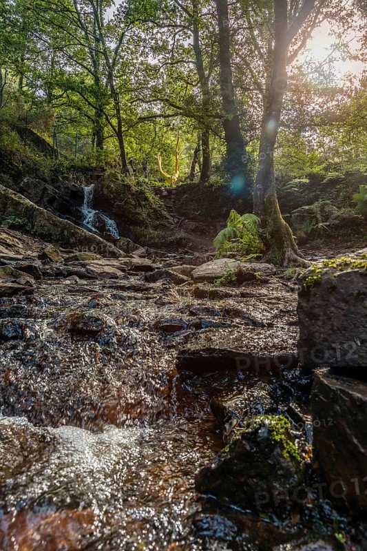A waterfall in the Arbre D'or in the Broceliande forest