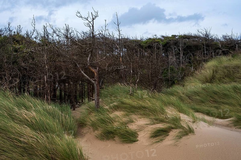 Traeth Llanddwyn Beach