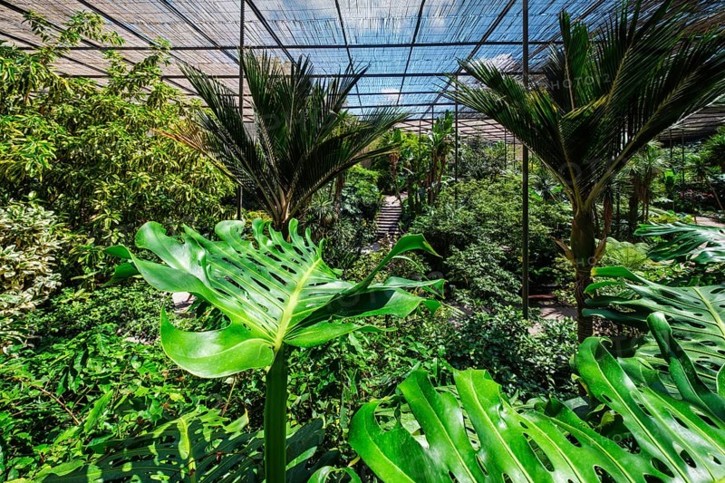 Interior view of the cold house Estufa Fria is a greenhouse with gardens