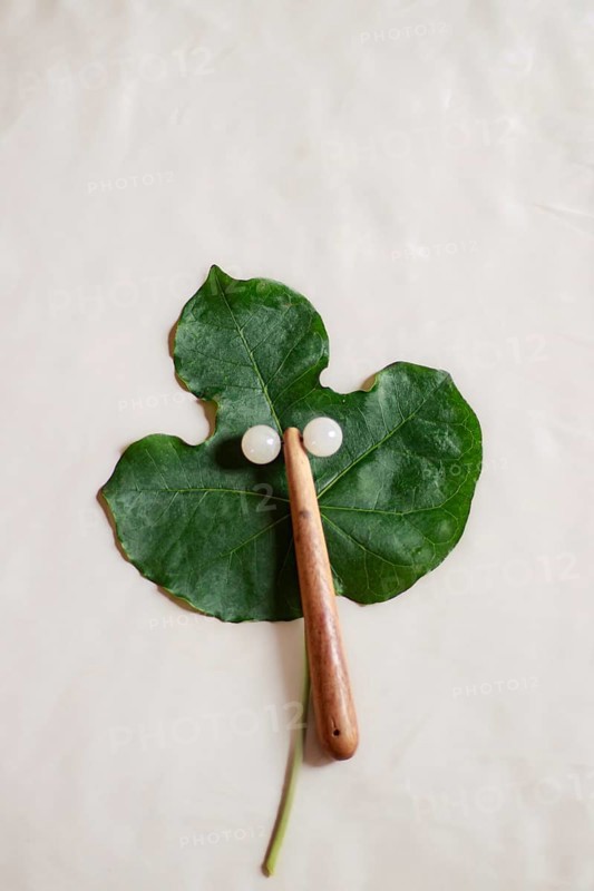 Mockup of a facial roller on a Jatropha podagrica leaf