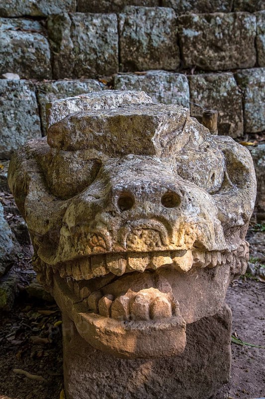 The dragon of the astronomical pyramid of the temples of Copan Ruinas. Honduras