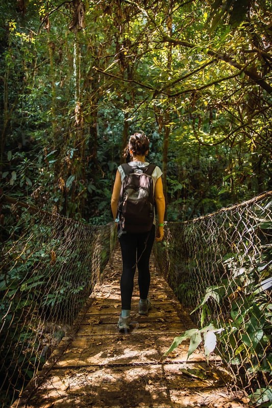 Walking on the wooden bridge in the Cerro Azul Meambar National Park