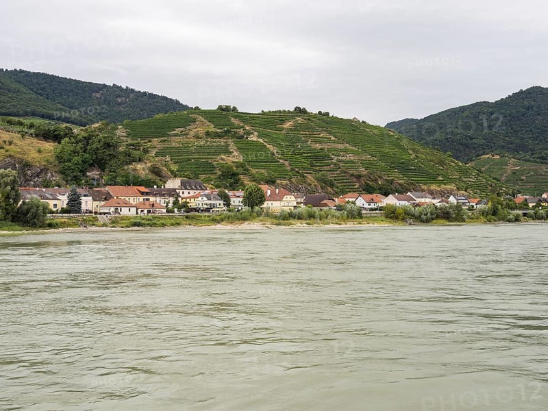 Vineyards on the Danube
