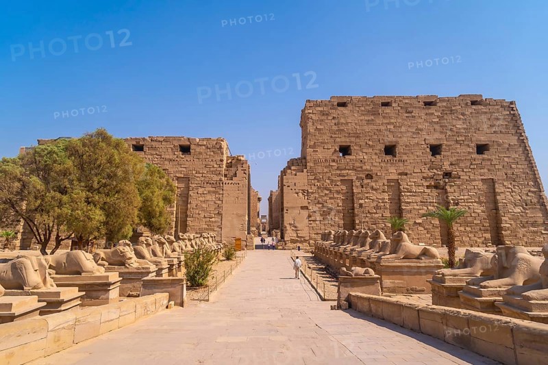 Entrance to the Karnak temple with its beautiful corridor of ram sculptures