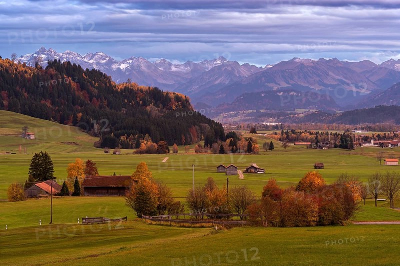 Landscape in the Allgaeu in autumn near Rettenberg with a view of farms