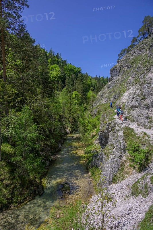 Hiking trail in the Oetschergraben