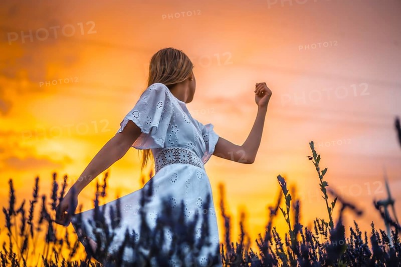 A young blonde Caucasian woman in a white dress in a cultivated lavender field in Navarra