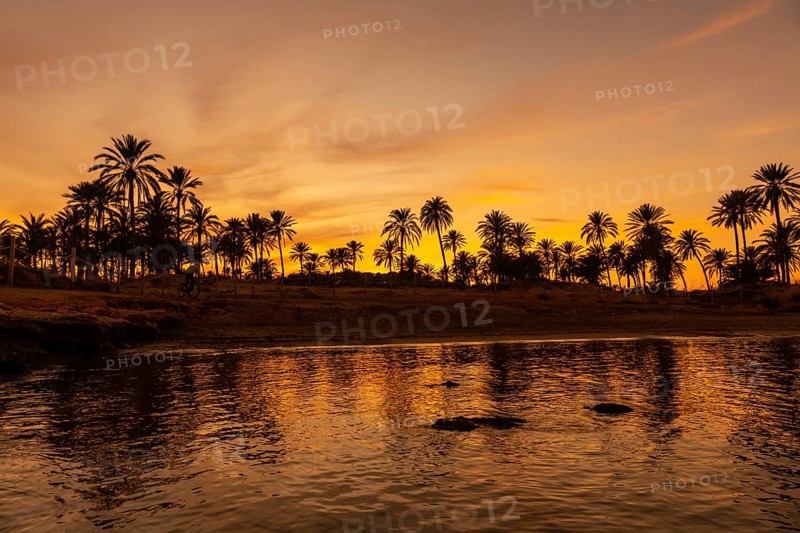 Silhouette of palm trees reflected in an orange sunset on a beach by the sea in the town of Torrevieja. White coast of the Mediterranean Sea of Alicante. Spain