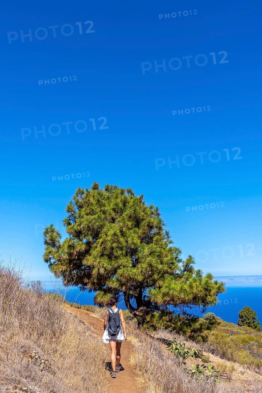 A young woman walking on the Las Tricias path in the town of Garafia in the north of the island of La Palma
