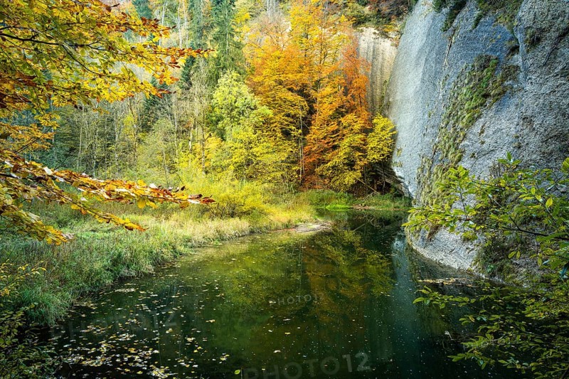 The Eistobel nature reserve