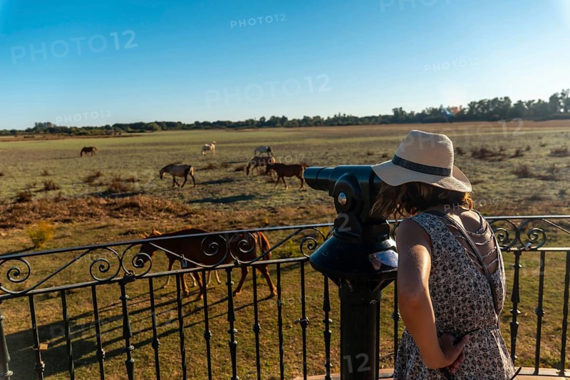 A young tourist with binoculars looking at the horses grazing in the Donana park