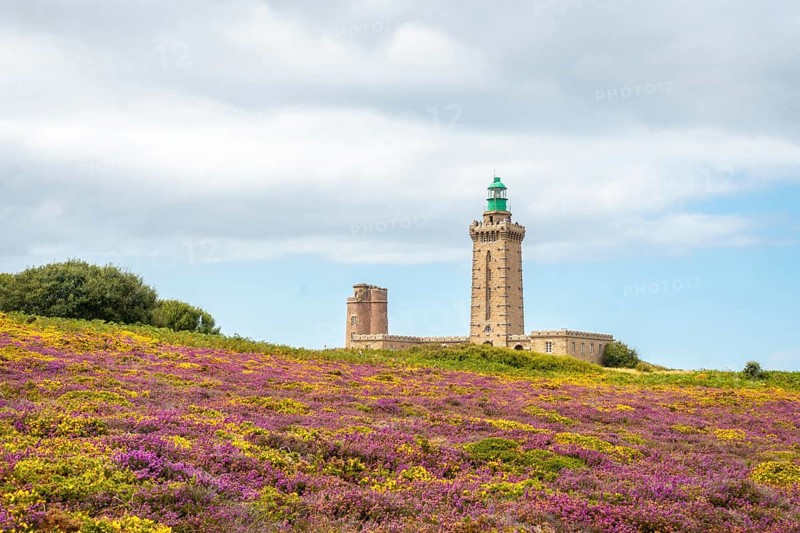 Yellow and pink flowers in summer in Phare Du Cap Frehel is a maritime lighthouse in Cotes-dÂ´Armor France . At the tip of Cap Frehel