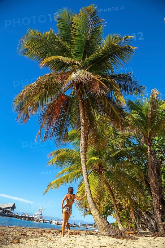 A young woman leaning on a palm tree on West End Beach on Roatan Island. Honduras