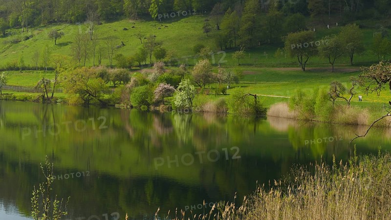 Schalkenmehren Maar in the Eifel