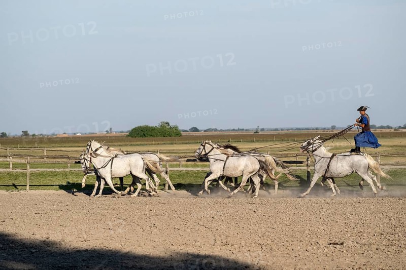 Riding demonstration