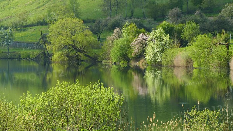 Spring at the Schalkenmehren Maar in the Eifel