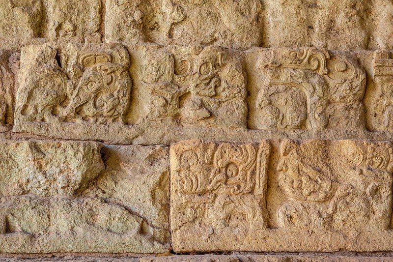Detail of the Drawings in The stairs of the most famous temple in Copan Ruinas. Honduras