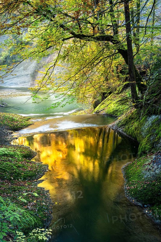 The Eistobel nature reserve