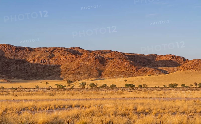 Desert-like landscape