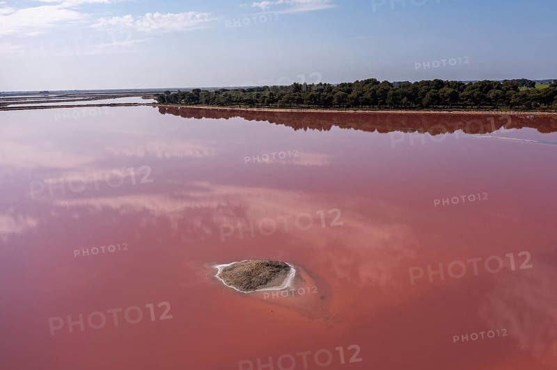Aerial view of a salt works with salt island