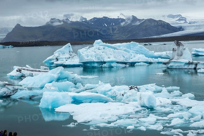A seal and a young man paddle surfing on Jokulsarlon Ice Lake in the Golden Circle of southern Iceland