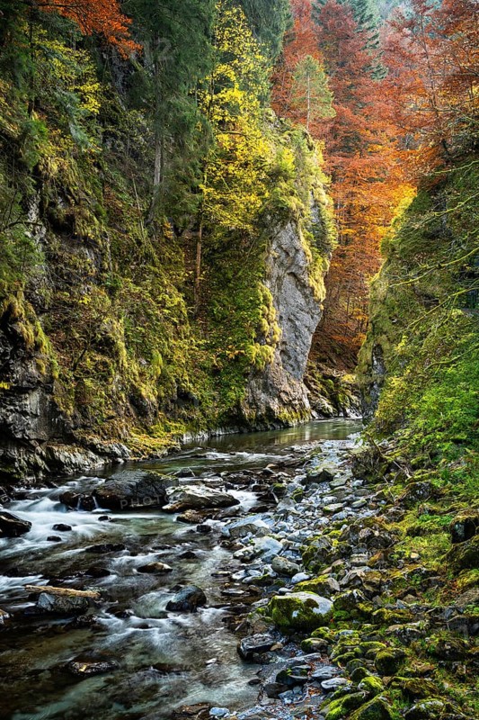 The Breitachklamm gorge with the Breitach river in autumn. A rock face and trees in autumn leaves. Rocks in the river. Long exposure. Oberstdorf