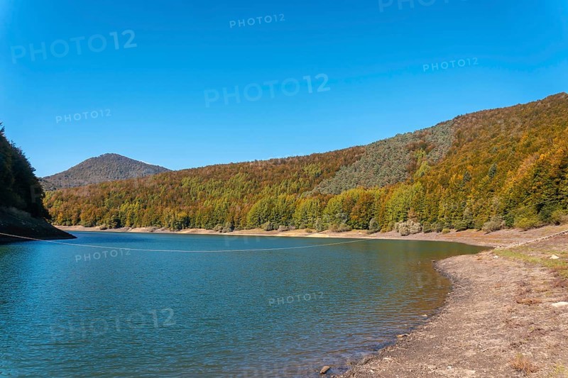 Irati forest or jungle in autumn