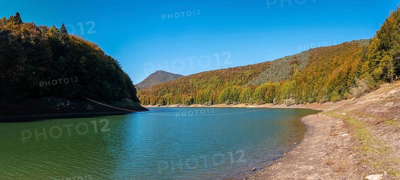 Irati forest or jungle in autumn