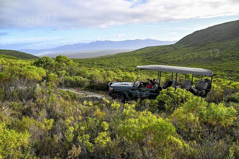 Pickup truck with tourists on a flower safari