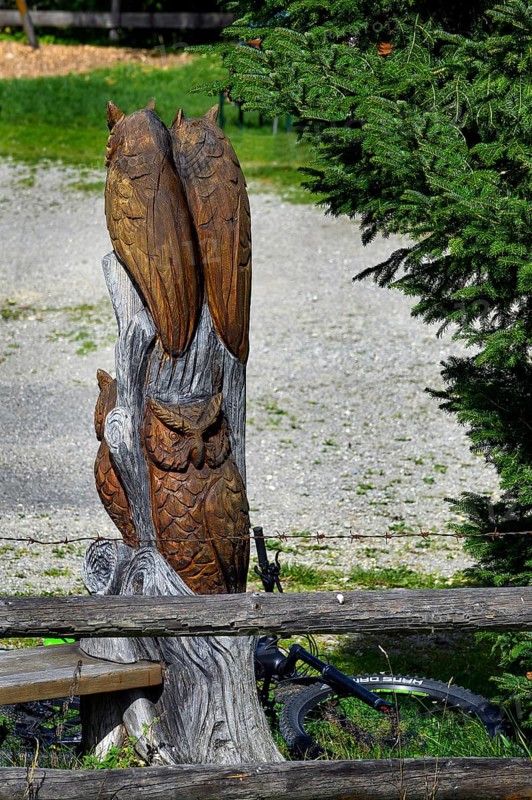Owls carved from a tree trunk at Alpe Wenger-Egg near Wengen in Allgaeu