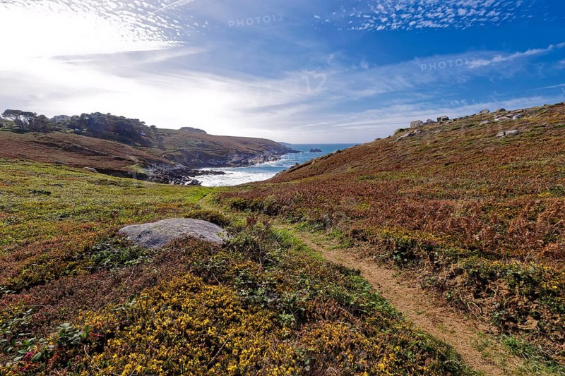 Heathland and rocky coast at Pointe du Millier