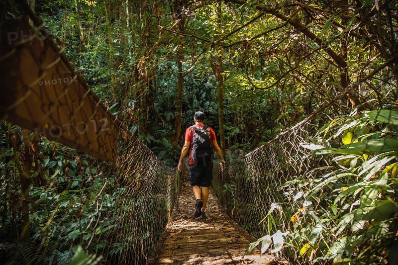 A young man walking along a beautiful wooden bridge in the Cerro Azul Meambar National Park