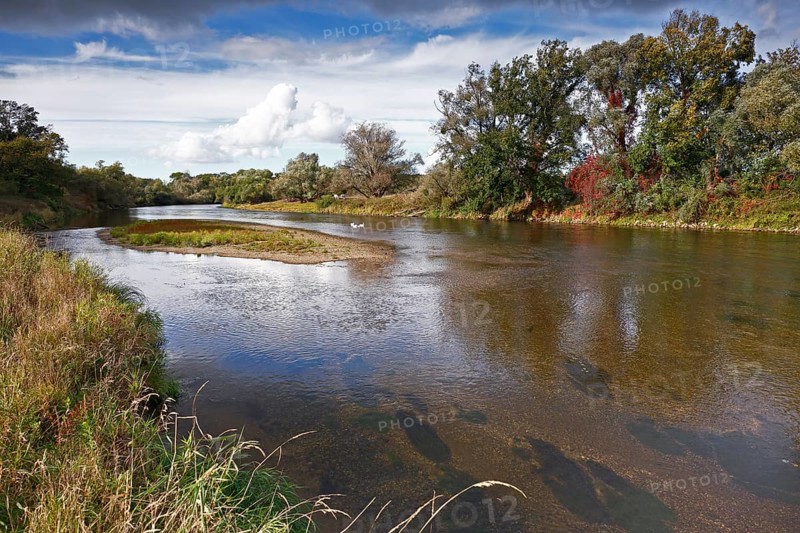 Gravel bank in the Mulde River