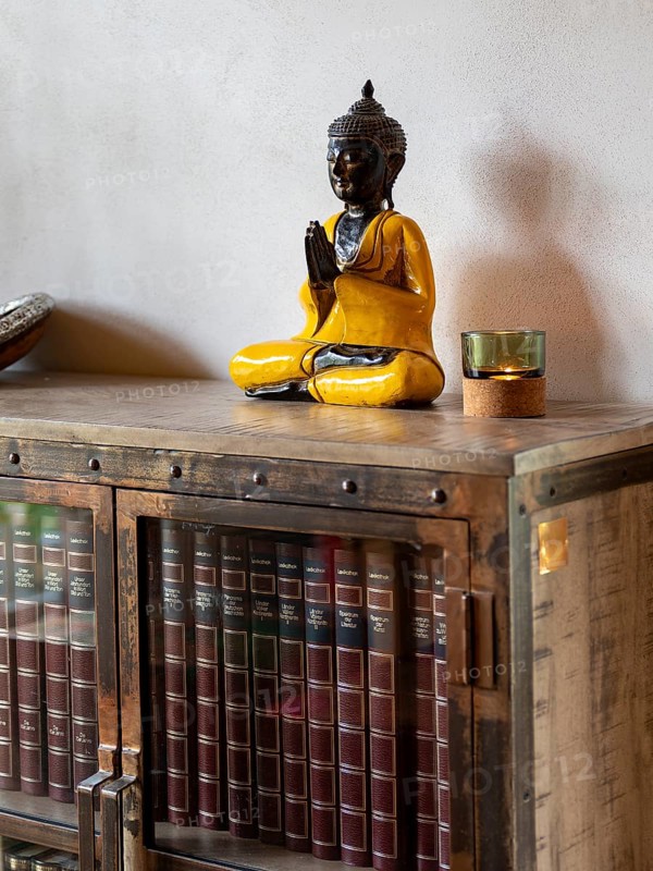 Books and encyclopaedias in old glass case with metal
