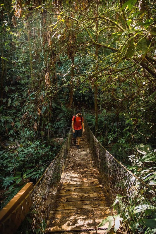 A young man walking along a beautiful wooden bridge in the Cerro Azul Meambar National Park