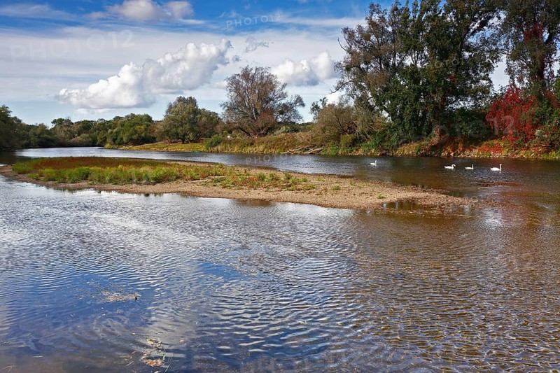 Gravel bank in the Mulde River