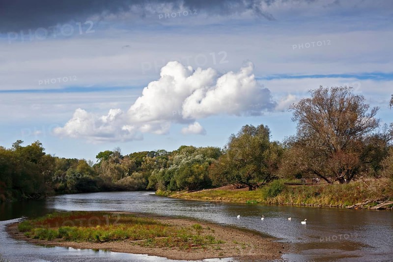 Gravel bank in the Mulde River