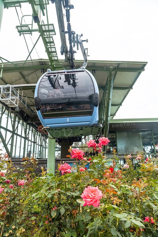 Flowers next to a cabin of the Funchal cable car that goes up the mountain from the beach